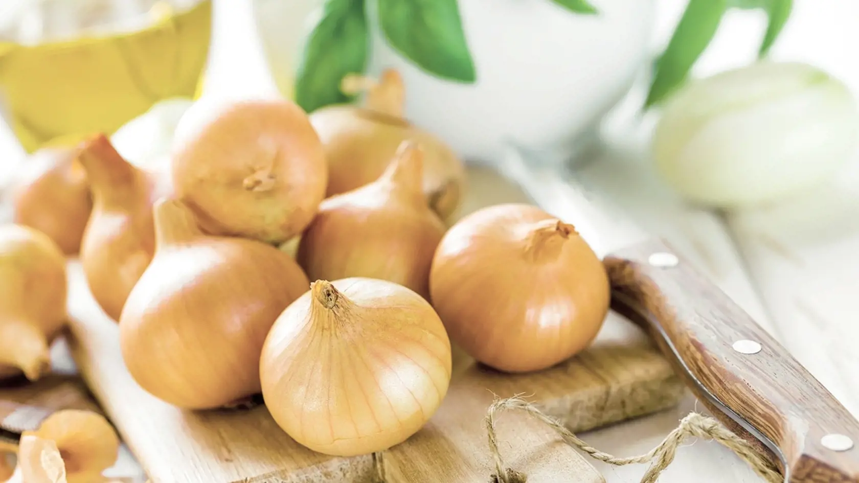 3. Cibuľa kuchynská: obsahuje deriváty látky s názvom S- allylcystein, ktorý má prirodzený efekt statínu (liek na zníženie cholesterolu), zabraňuje LDL-cholesterolu aby oxidoval a ukladal sa do ciev a taktiež zabraňuje tvorbe krvných zrazenín.