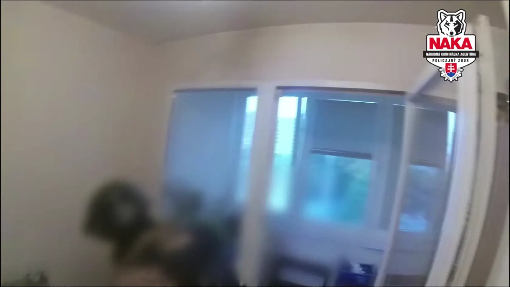 NAKA zadržala dvoch únoscov cudzinca.