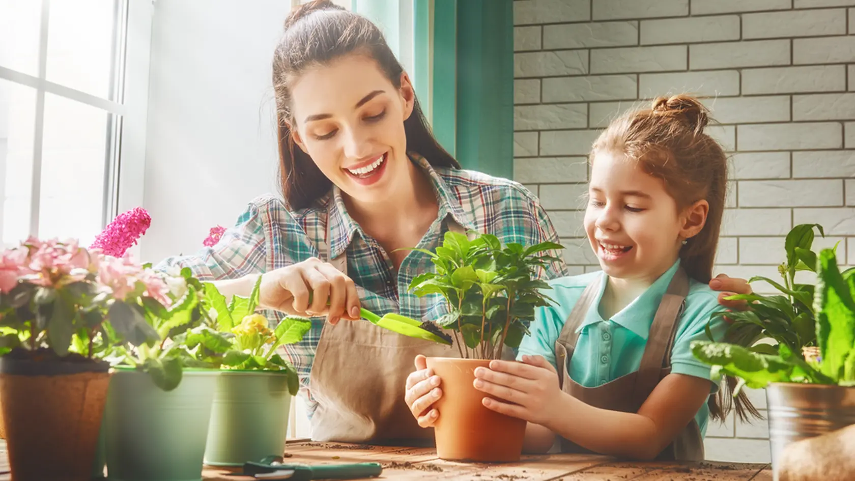 Cute child girl helps her mother to care for plants. Mom and her daughter engaged in gardening near window at home. Happy family in spring day.