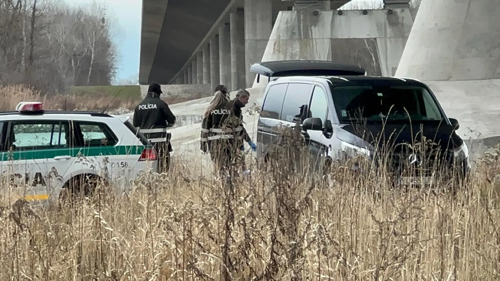 Telo nezvestnej 18-ročnej Terezky bolo nájdené pod mostom pri Dunaji ráno 1. februára 2023. Na snímke polícia a pohrebná služba nakladá jej telo do auta.