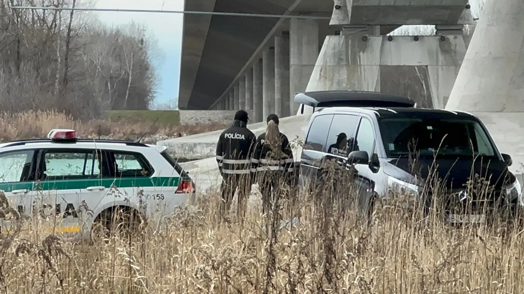 Telo nezvestnej 18-ročnej Terezky bolo nájdené pod mostom pri Dunaji ráno 1. februára 2023. Na snímke polícia a pohrebná služba nakladá jej telo do auta.