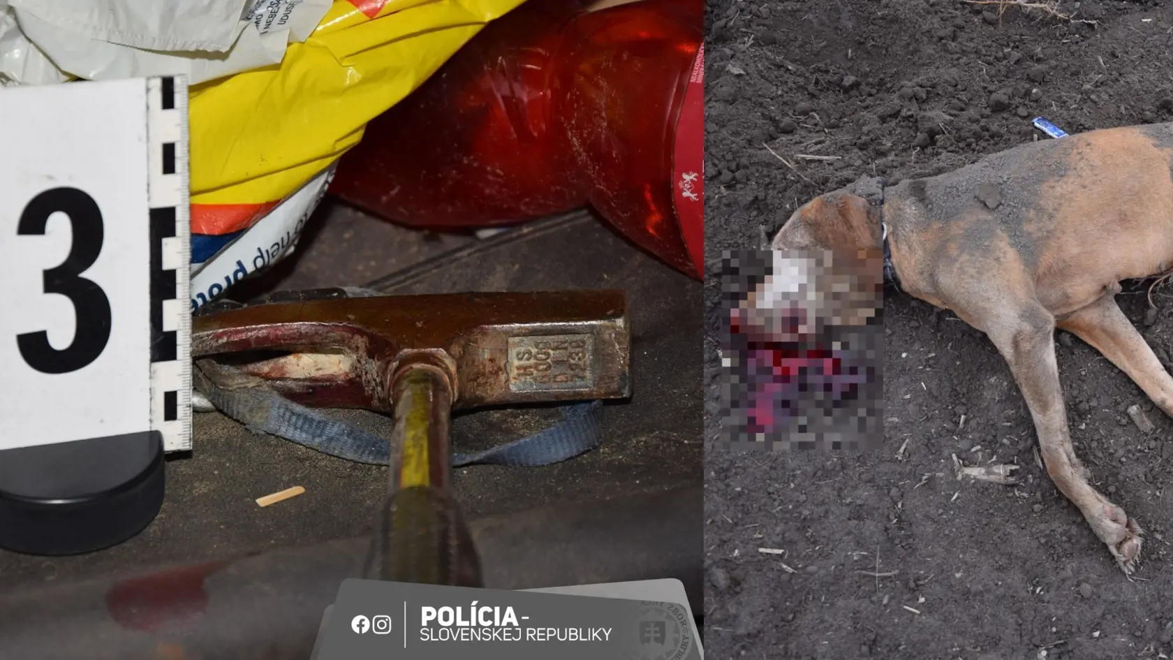 Enviropolicajti obvinili Bratislavčana, svojho psa zabil tesárskym kladivom