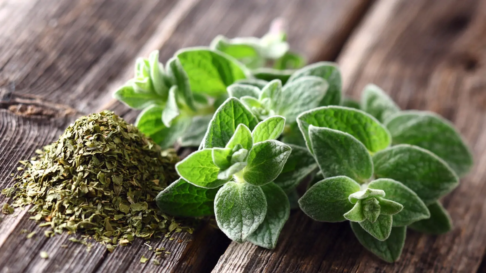 5. Oregano