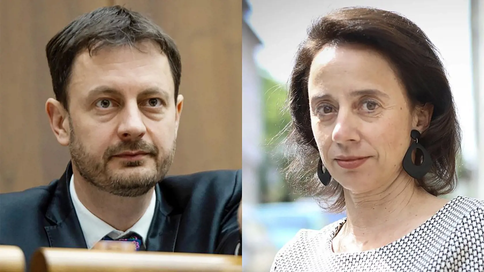 Ako poradkyňa pracovala pre bývalého ministra financií Eduarda Hegera. Keď sa stal premiérom, prešla na Úrad pre dohľad nad zdravotnou starostlivosťou.