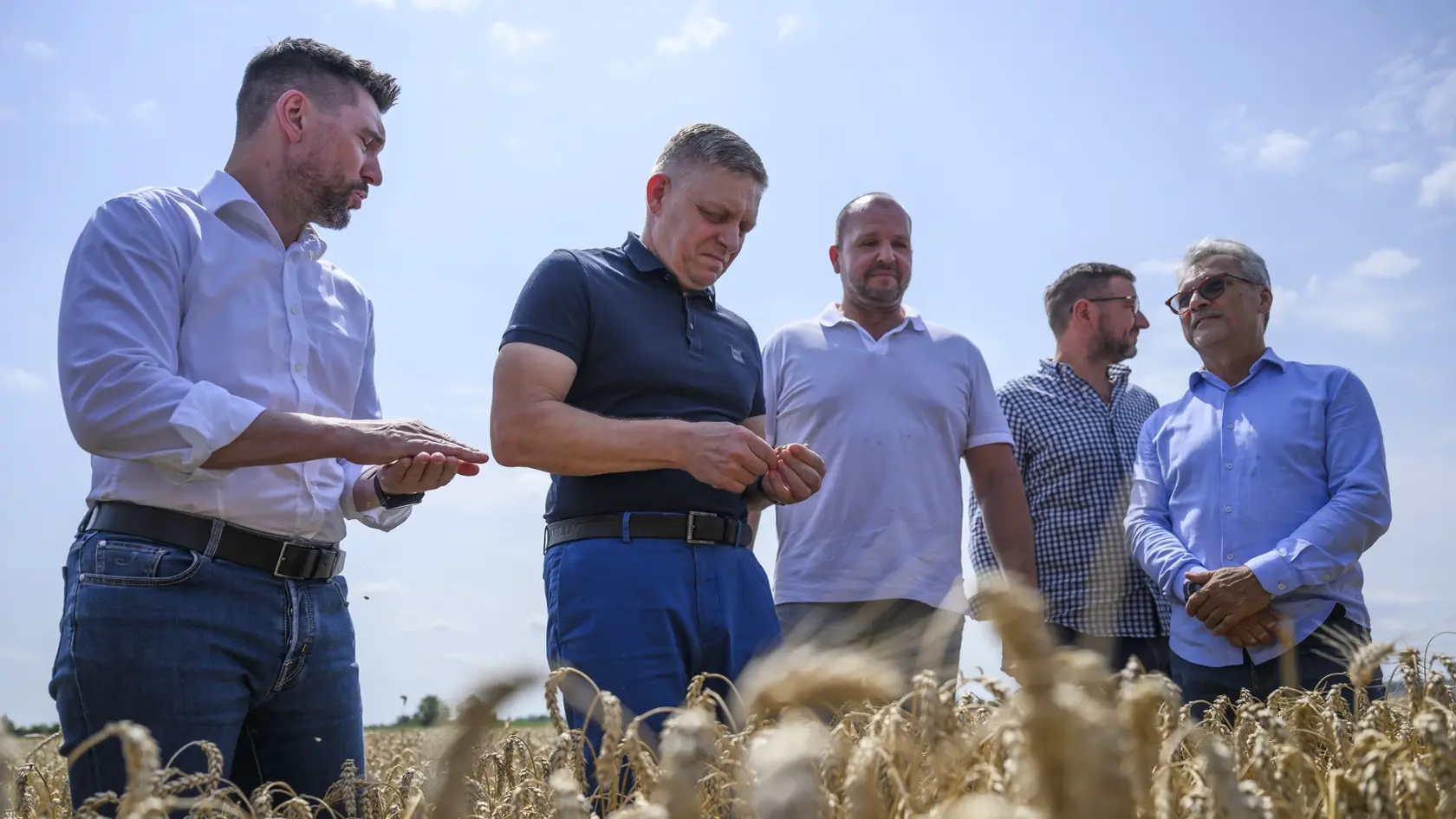 Na snímke zľava minister pôdohospodárstva a rozvoja vidieka SR Richard Takáč (Smer-SD), predseda vlády SR Robert Fico (Smer-SD), predseda Slovenskej poľnohospodárskej a potravinárskej komory (SPPK) Andrej Gajdoš a podpredseda SPPK Emil Macho pózujú v žite počas žatvy.