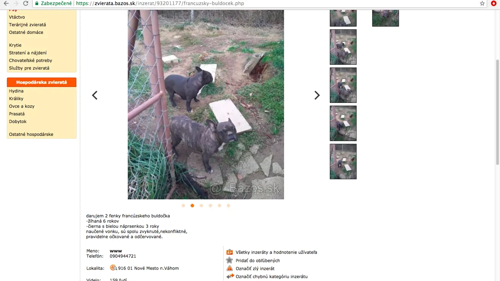 Takto vyzerá inzerát od množiteľa na internete.