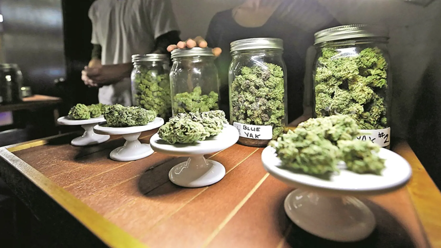 Marihuana na liečebné účely nie je u nás dostupná, medicínske využitie rastliny je nelegálne.