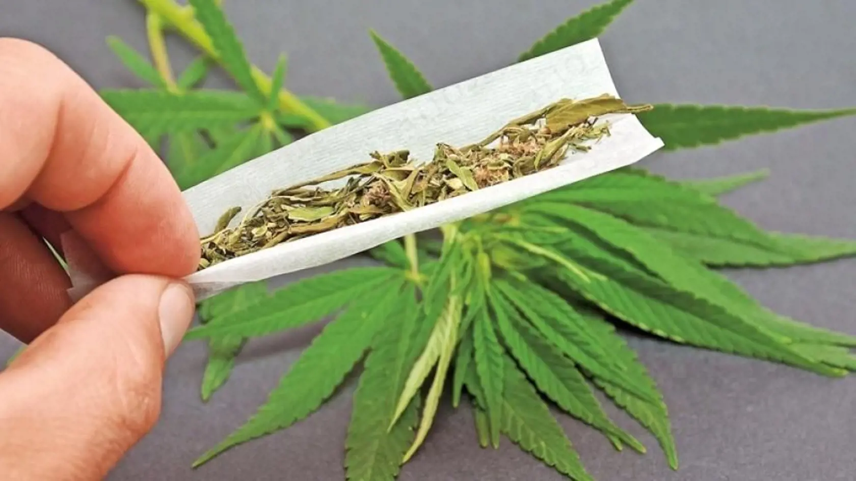 UTIŠUJE BOLESŤ Marihuana pomáha tak dospelým, ako aj deťom pri zákerných chorobách ako epilepsia či skleróza multiplex.