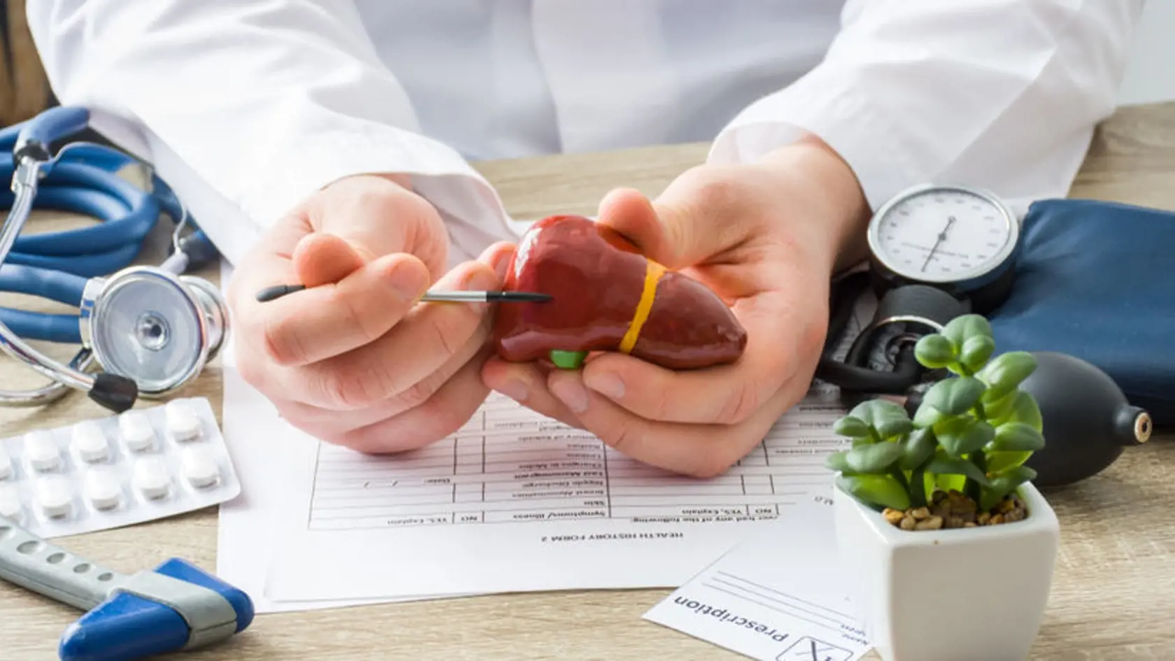Hepatitída postihuje najmä pečeň.