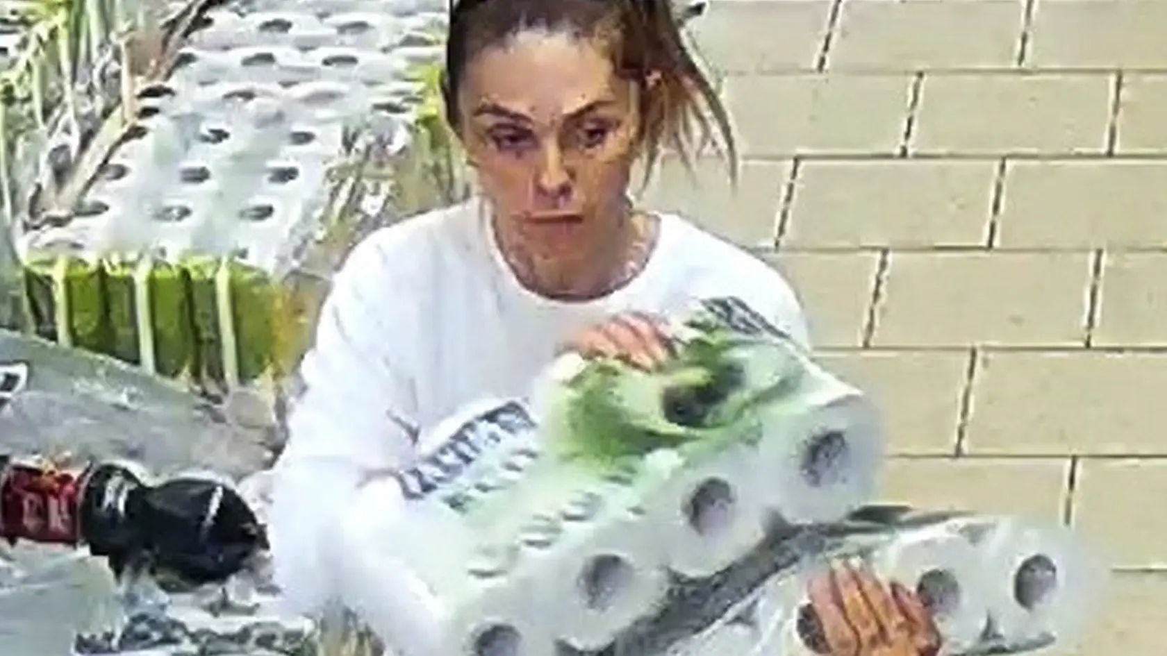 Osobu na fotke hľadá polícia.