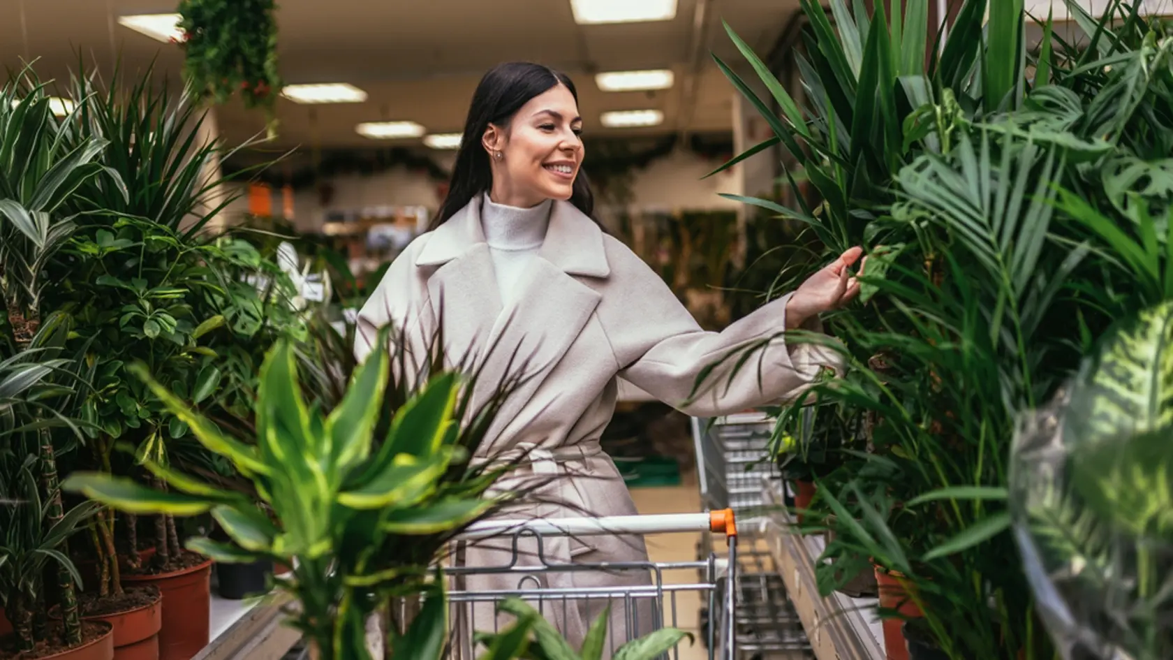 Lacné kvety zo supermarketu môžu byť lákavým doplnkom vášho domova, no vždy je potrebné myslieť na možnosť, že s nimi prídu aj škodcovia. Starostlivým výberom, preventívnymi opatreniami a rýchlym zásahom pri problémoch môžete ochrániť svoje rastliny a udržať ich zdravé a krásne.