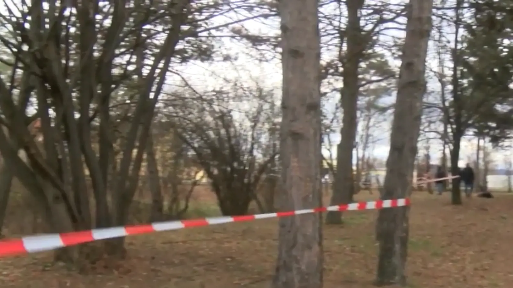 Dievča našli v nedeľu "zjavne uškrtené" v parku vo Viedenskom Novom Meste (Wiener Neustadt).