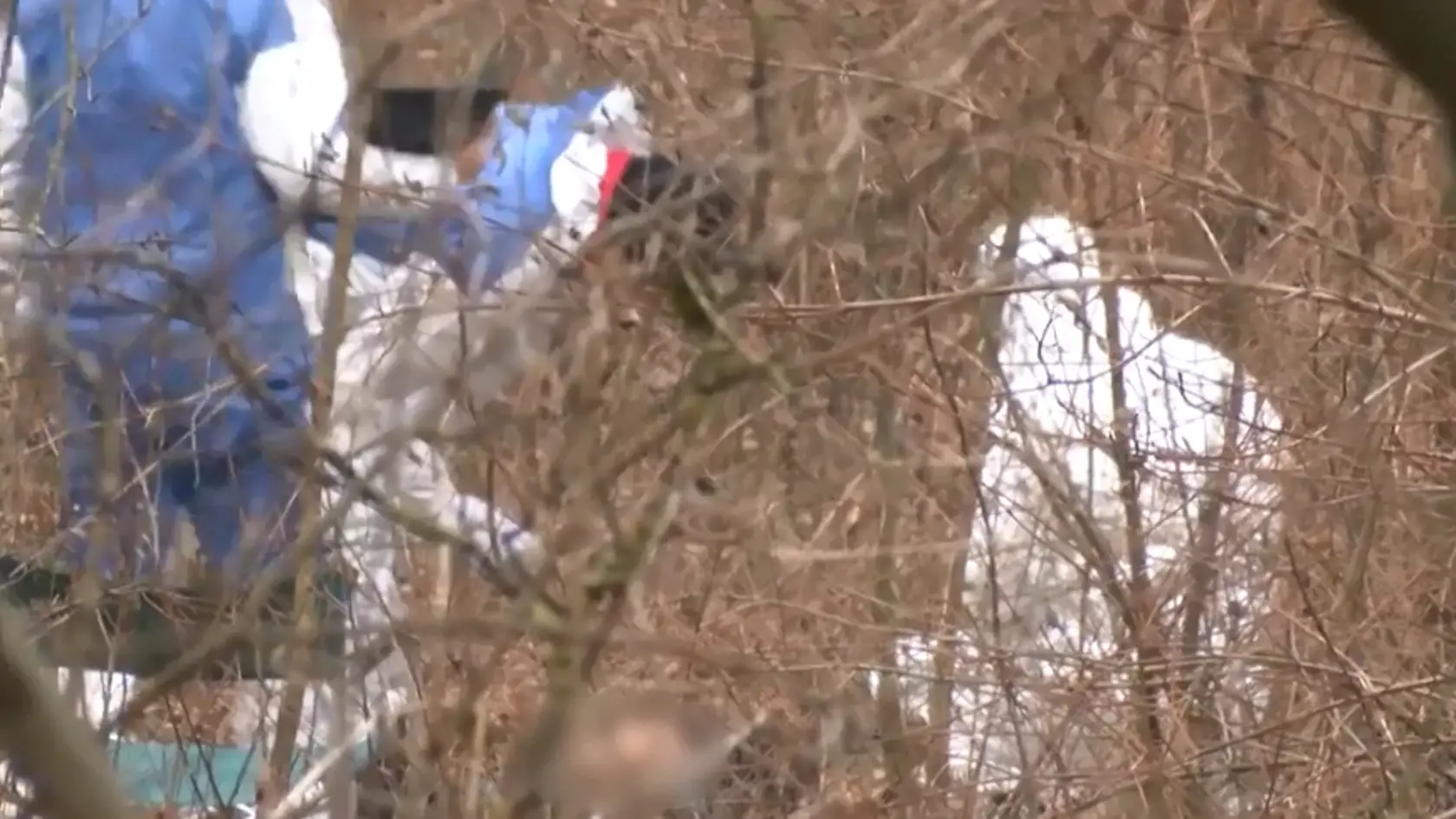 Dievča našli v nedeľu "zjavne uškrtené" v parku vo Viedenskom Novom Meste (Wiener Neustadt).