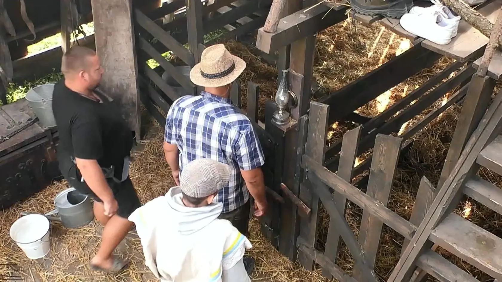 Farmárom uhynulo zviera. Prasa dostalo infarkt.