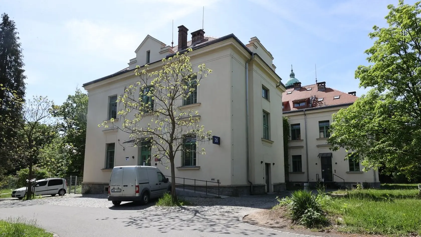 O Dádu Patrasovú sa starajú špecialisti v pavilóne 26.