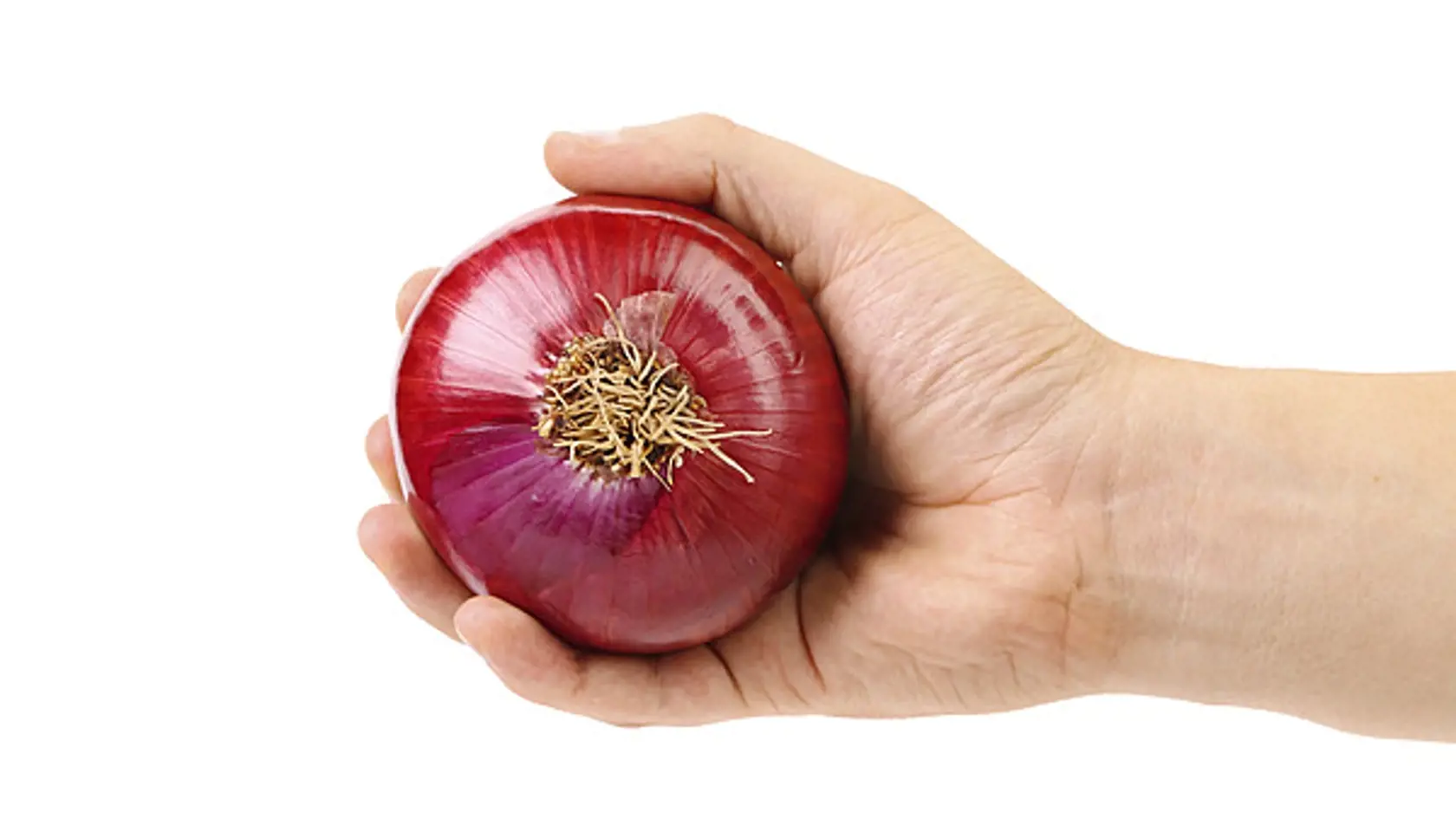 Účinkuje proti zápche
Vlákna červenej cibule si vedia poradiť s toxínami v tele. Navyše ich pomáhajú vylúčiť von z organizmu, preto je táto zelenina i vynikajúcim detoxikantom.