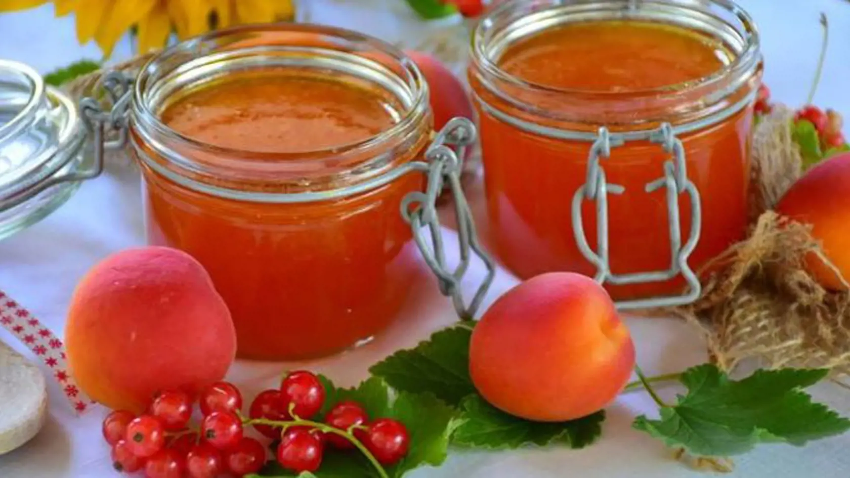 Kvasenie a plesnivenie výrobku