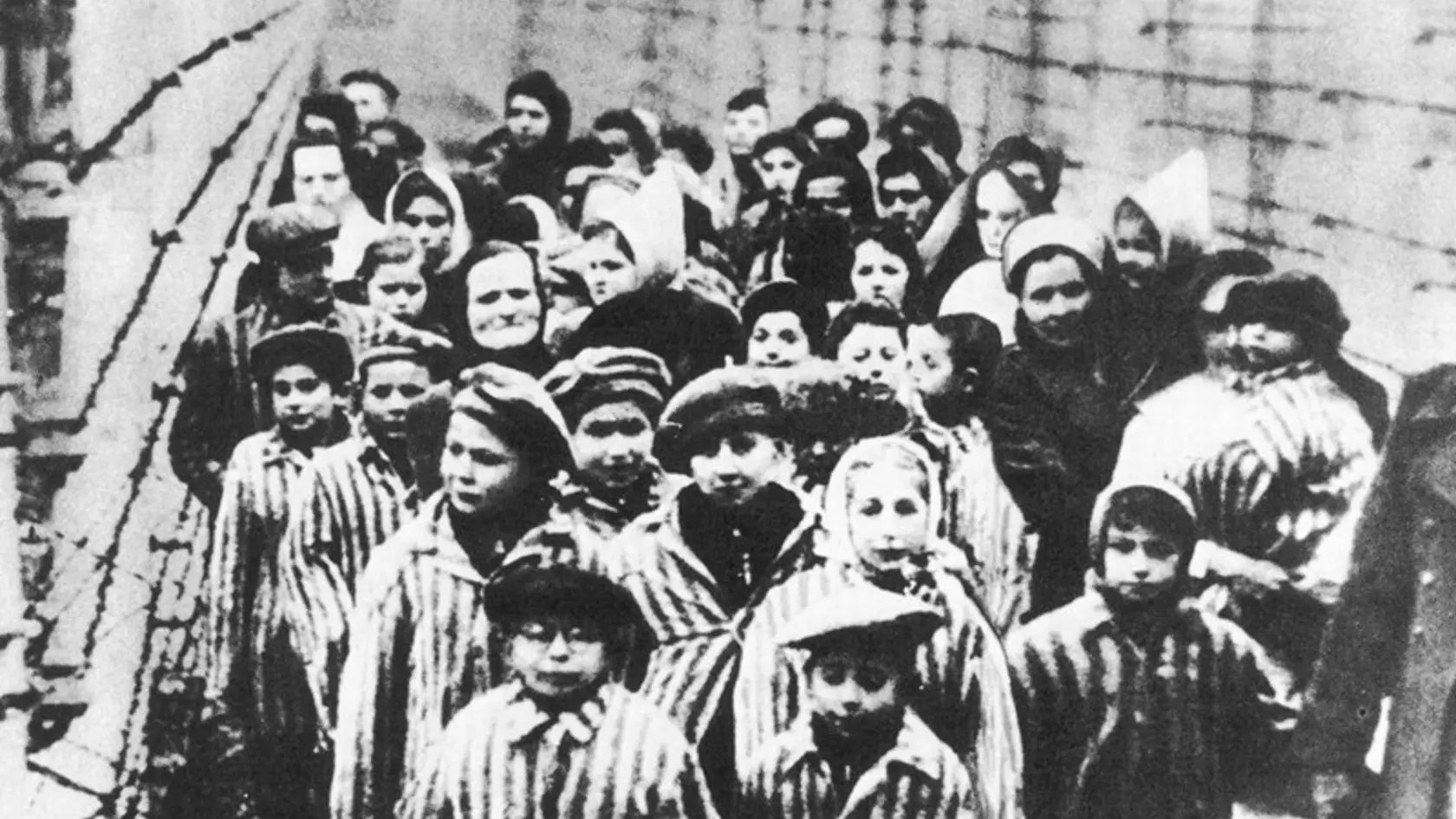 Osvienčimské deti: Skúšali na nich infúzie, záhadné injekcie, očné kvapky, z ktorých dočasne alebo natrvalo oslepli. Mnohé pri pokusoch zomreli.