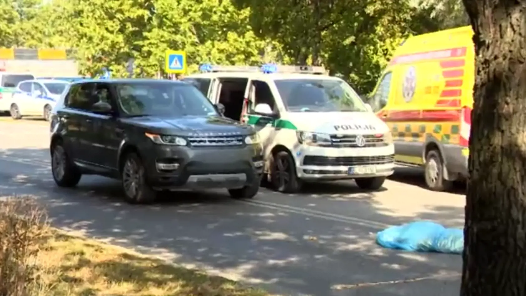 Mladé dievča nemalo šancu zrážku prežiť.