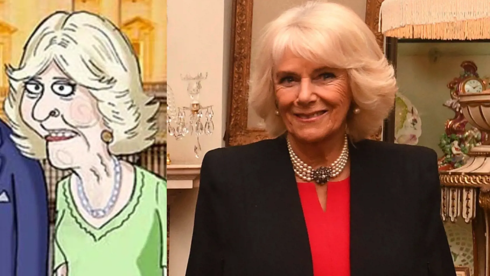 Vojvodkyňa Camilla má nechutné zuby.