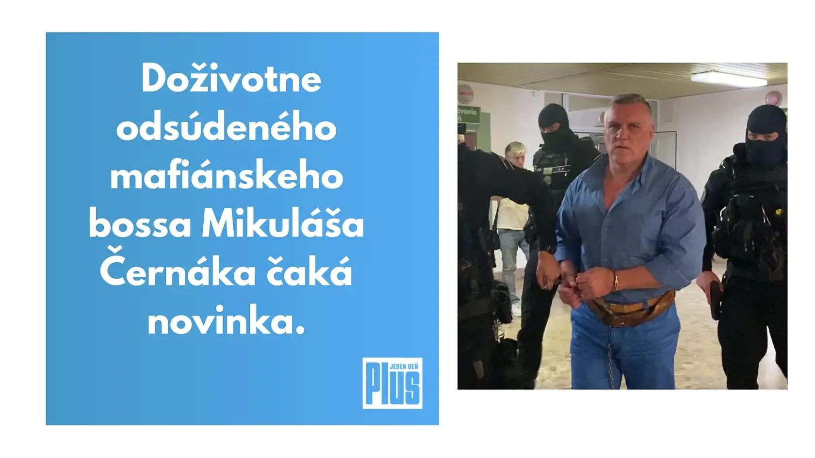 Mafiánsky boss Mikuláš Černák si za mrežami našiel sexi kosť. Jeho dnes už snúbenica, právnička Monika Křivová, napísala knihu o o zákulisí vyšetrovania trestnej činnosti spáchanej černákovcami. Tvrdí, že prináša šokujúce odhalenia.