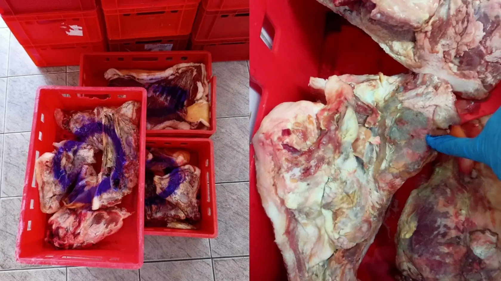 V brnianskom mäsiarstve našli pokazené mäso.