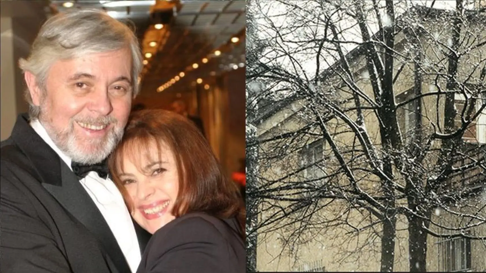 Vila Libuše Šafránkovej a Josefa Abrháma chátra.