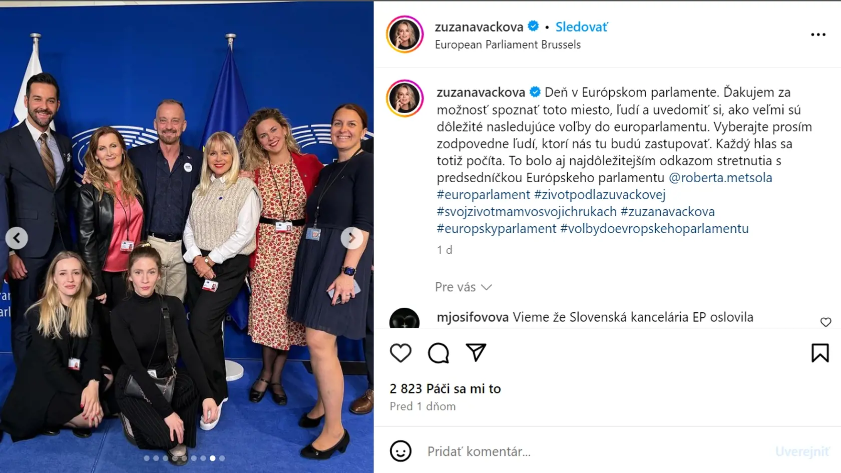 Spoločné foto. Známe tvíre zo Slovenska sa zišli v Bruseli na pozvanie šéfky europarlamentu. Cieľ? Pritiahnuť viac slovenských voličov k júnovým eurovoľbám.