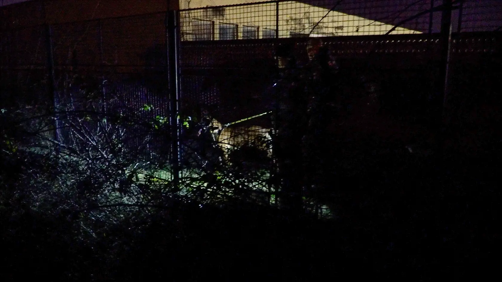 Inštruktor pri výcviku postrelil kadetku policajnej akadémie. Na mieste zasahovali aj psovodi.