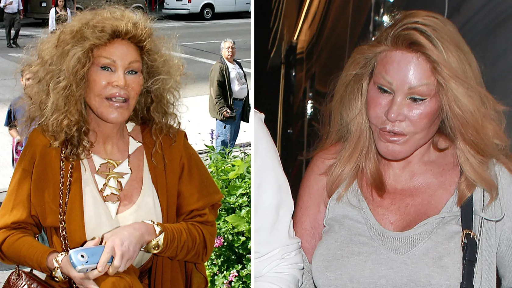 Jocelyn Wildenstein 