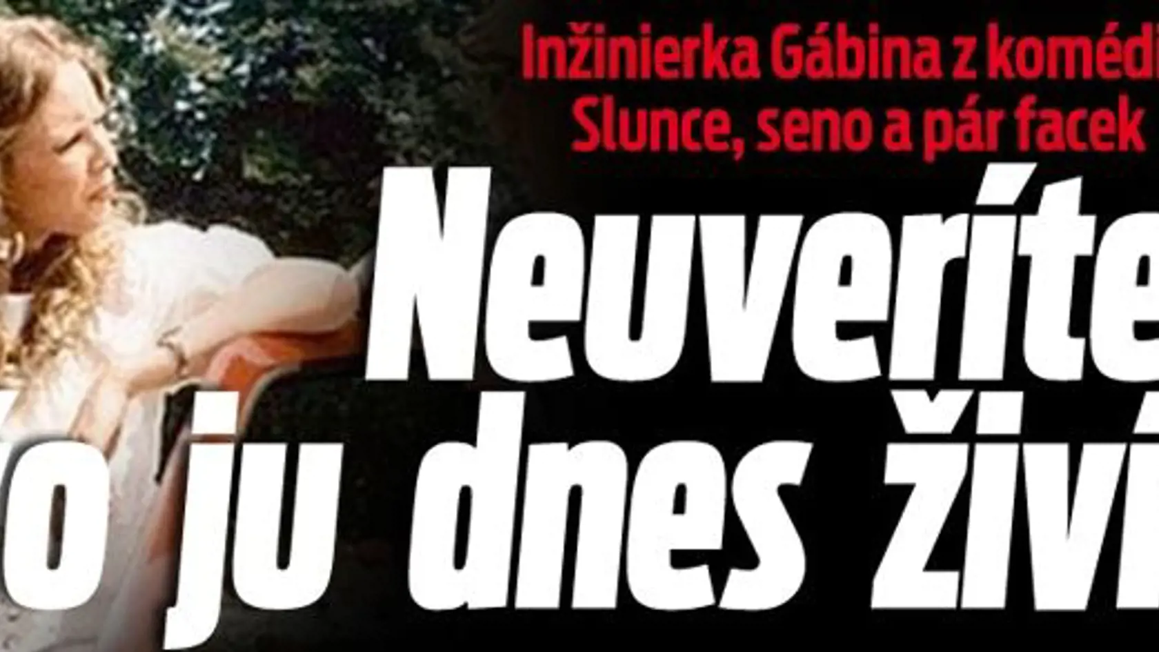 gabina, slunce, seno, praca