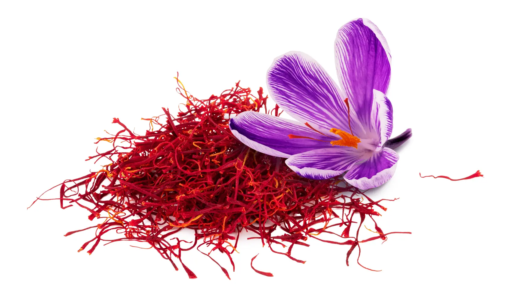 Šafran siaty (Crocus sativus)