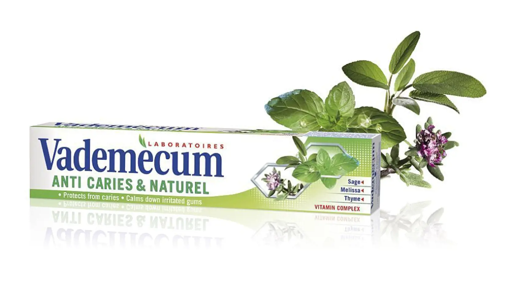 Vademecum