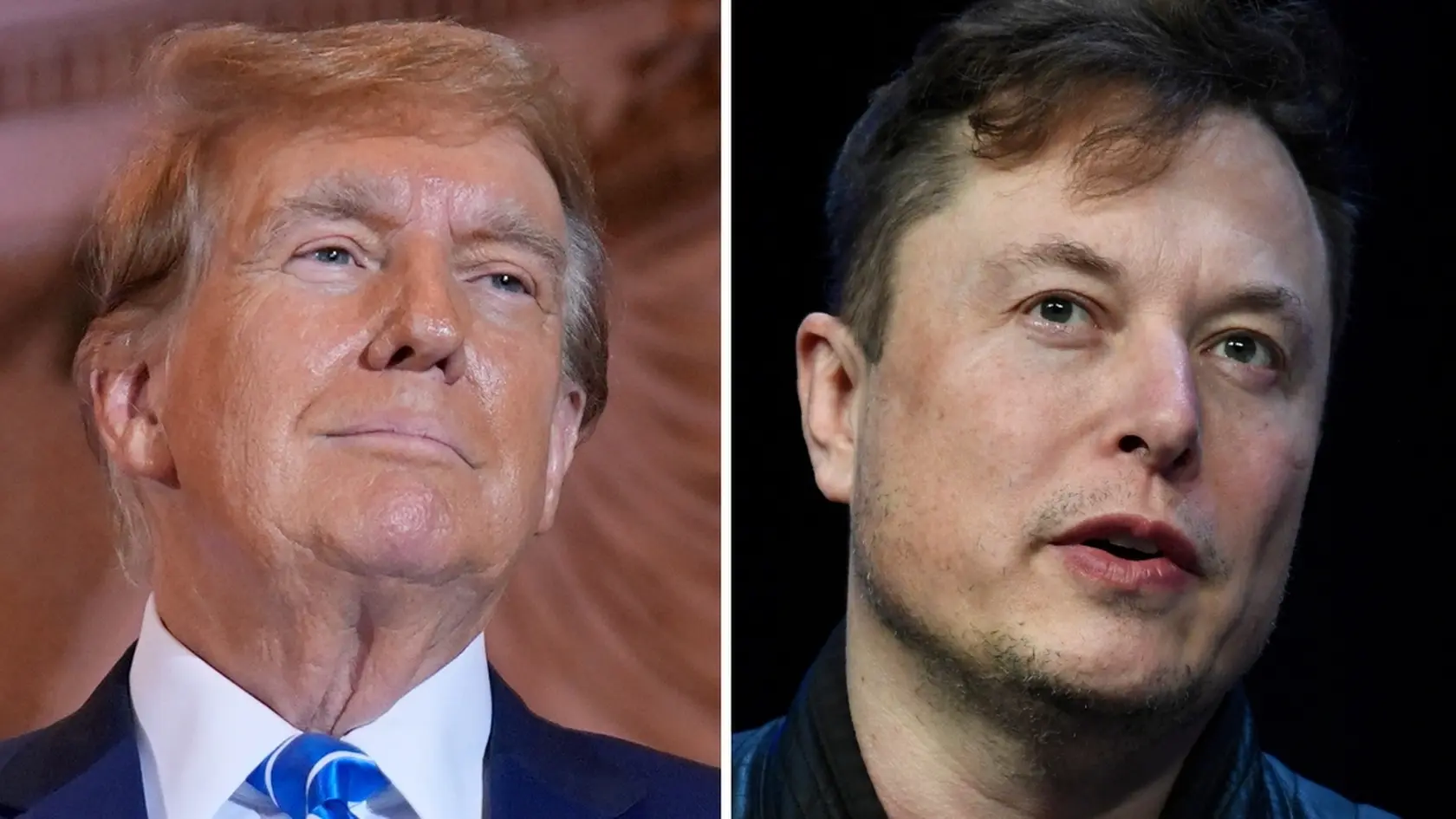 Donald Trump a Elon Musk.