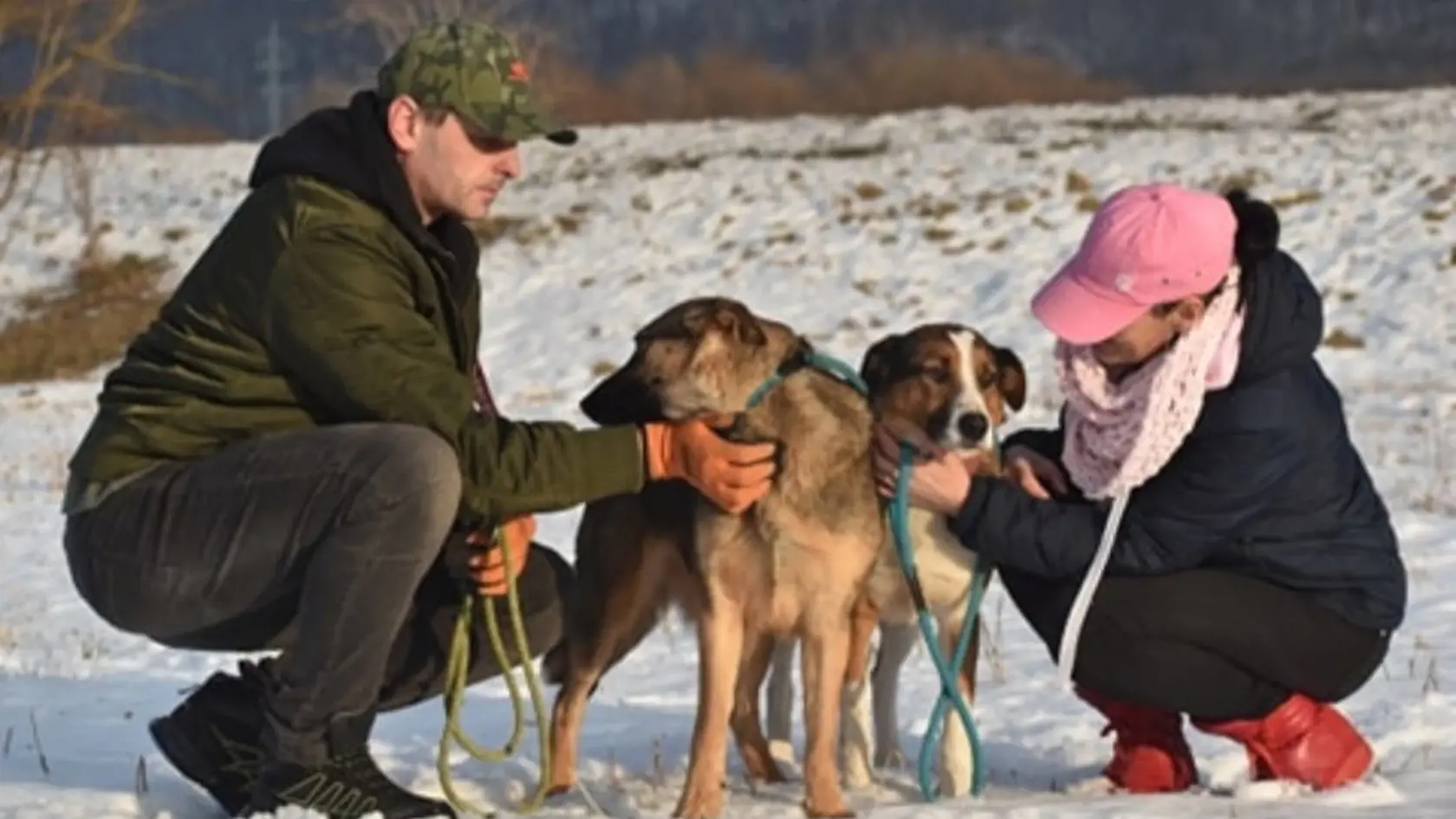 Milka Szafková a jej partner zachránili Jessieho z balkóna, kde žil vo vlastných výkaloch štyri roky.
