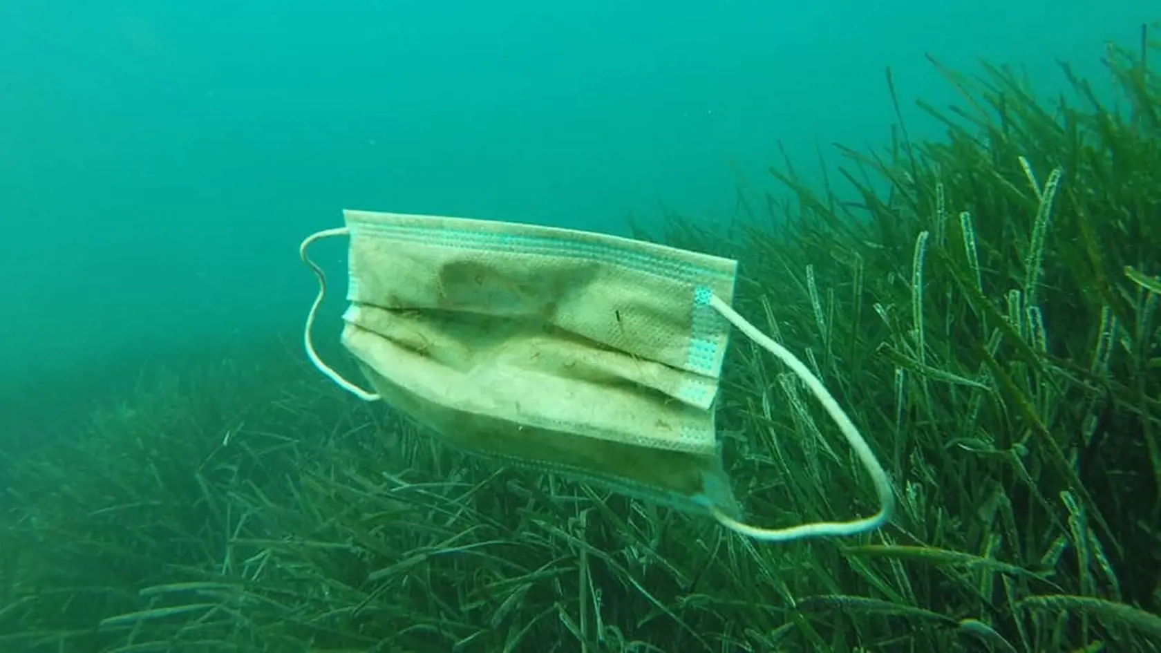 Ak sa ľudia nespamätajú, čoskoro bude pod hladinou viac rúšok než medúz.