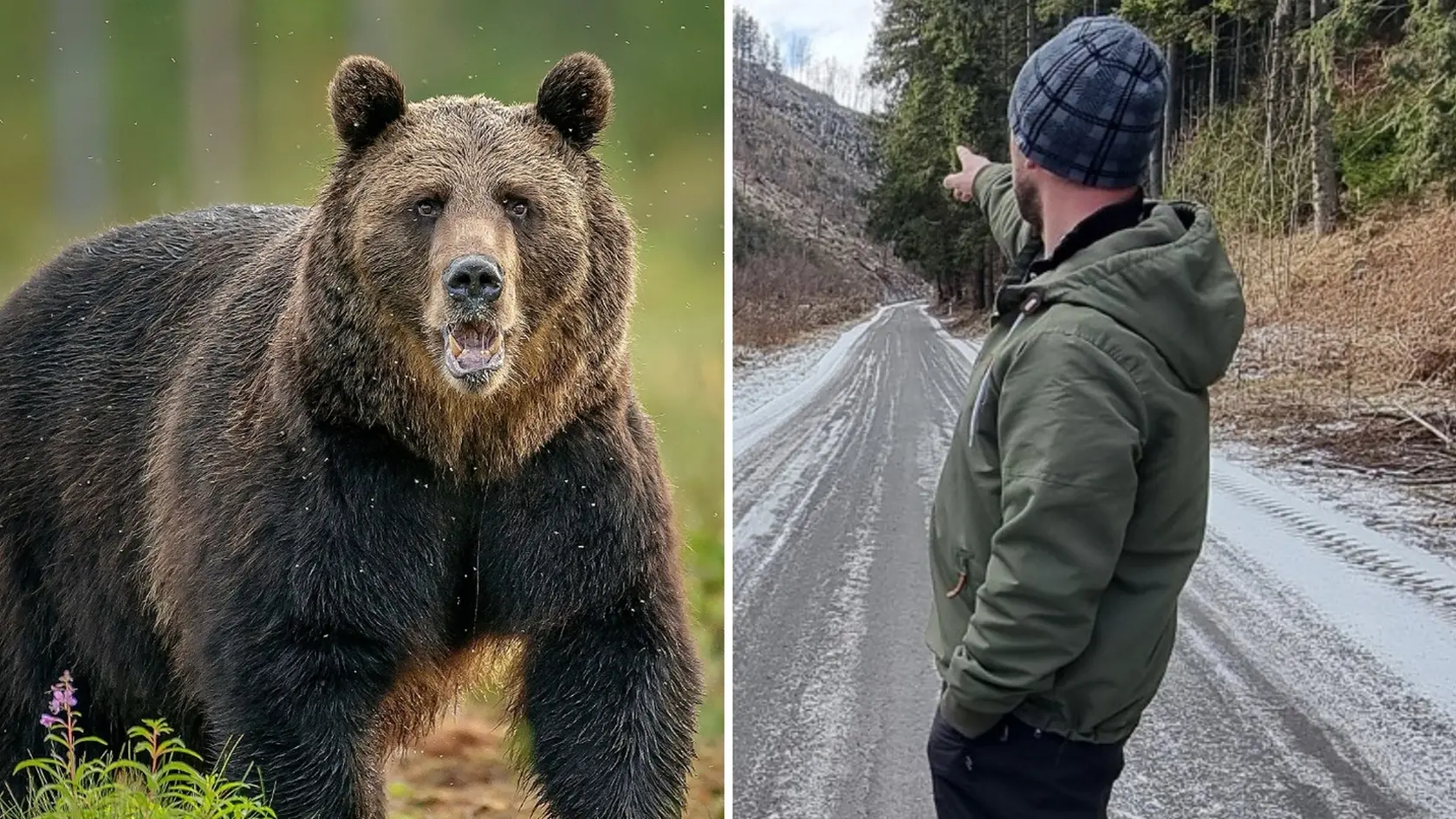 Lukáš ukazuje, odkiaľ sa medveď vyrútil.