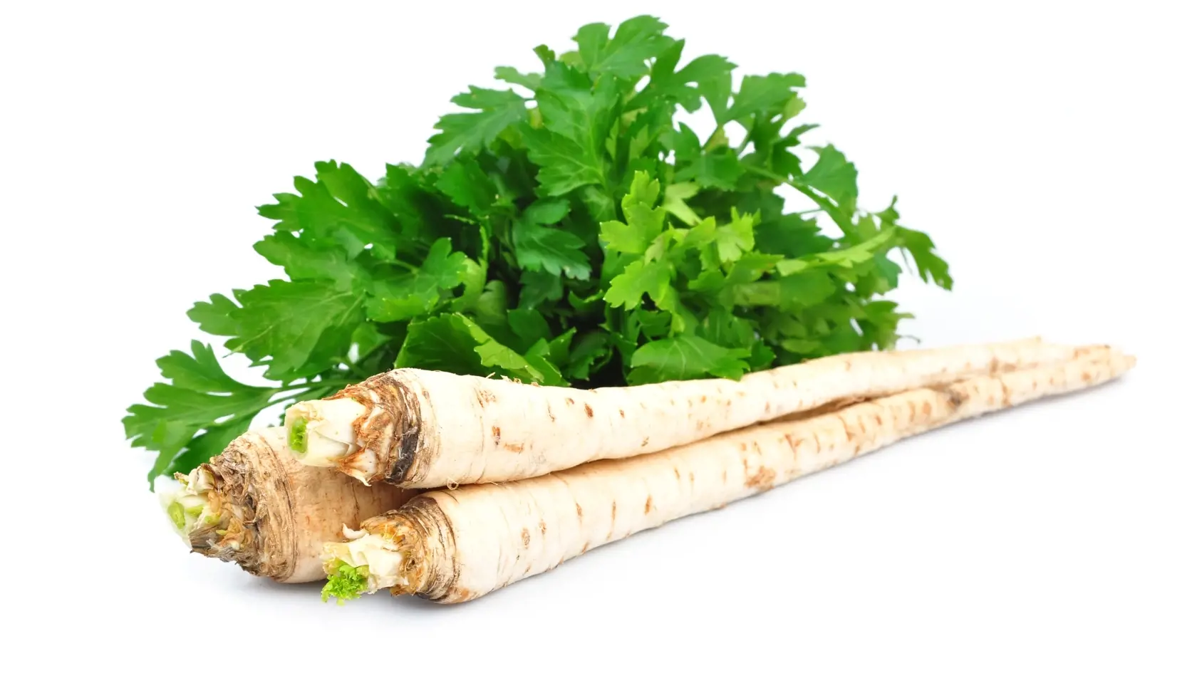 Parsley,Root,On,White,Background