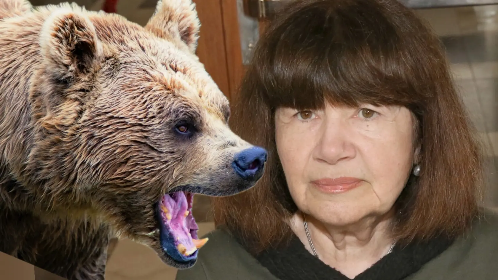 Medveď tentoraz nestihol útočiť. Zľakol sa dôchodkyne. Všetko videla herečka Uršula Kluková.