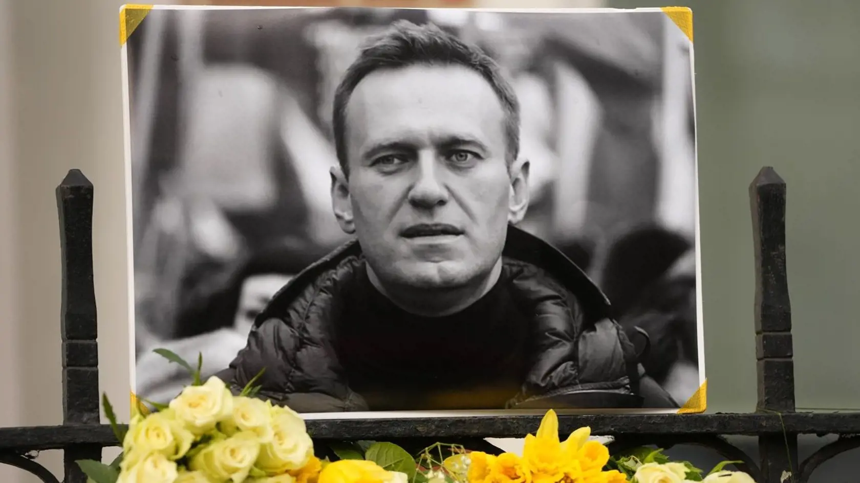 Zosnulého spolupracovníčka Pevčich v pondelok v relácii strímovanej na platforme YouTube odhalila, že Alexej Navaľnyj mal byť presne počas dní, kedy náhle zomrel, prepustený z väzenia. Prepusteniu mali pritom predchádzať dohody o jeho výmene za agenta ruskej tajnej služby FSB Vadima Krasikova. Potvrdenie o dohode mal Navaľného tím dostať 15. februára večer, teda pár hodín pred tragédiou.