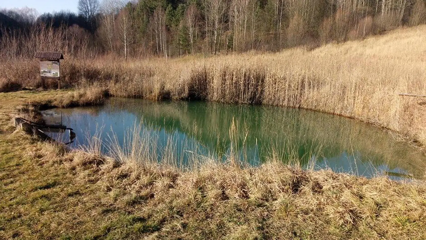 Liptov je bohatý na minerálne pramene. Obec Stankovany po Bešeňovej má vo svojom okolí druhý najväčší počet prameňov v tejto oblasti. Príjemné jazierko, ktoré je obľúbeným miestom na kúpanie sa nachádza na rašelinisku.