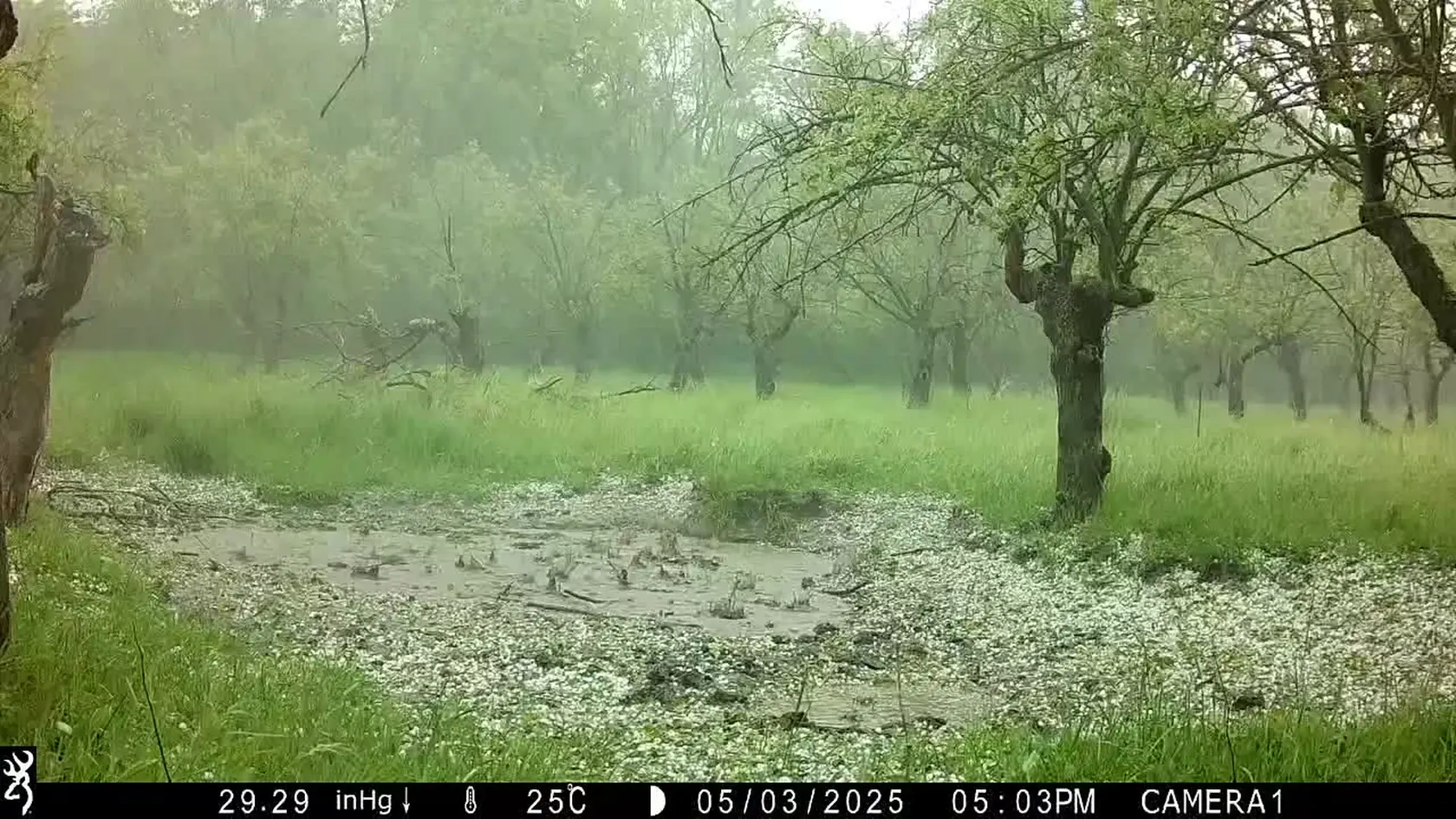 Búrky úradovali na Slovenskom: V Stupave padali obrovské krúpy