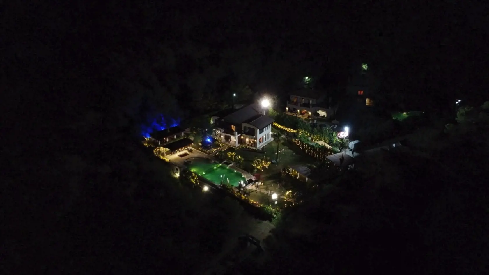 Ruža pre nevestu.