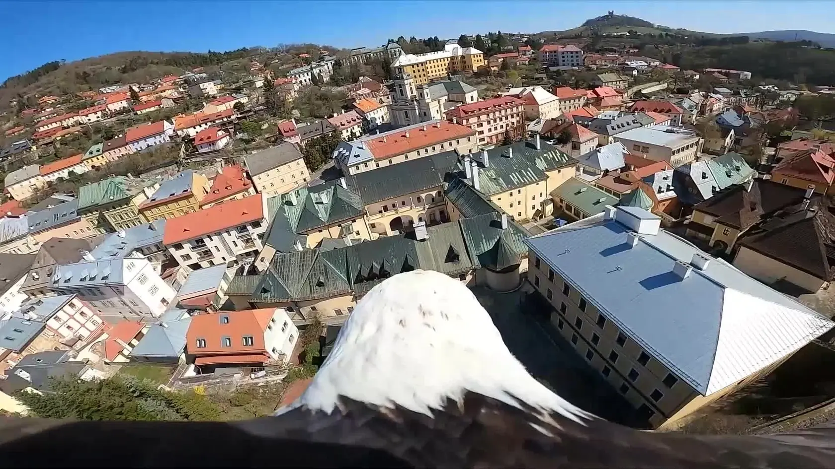 Prelet orla, ktorý má kameru umiestnenú na chrbte, nad Banskou Štiavnicou.