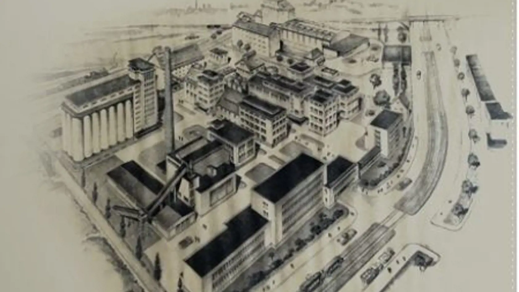 Palma Group, a.s. nadviazala na tradíciu priemyselnej výroby rastlinných olejov a tukov, ktorá sa datuje od roku 1920.