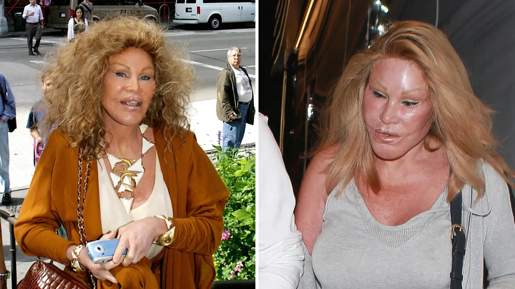 Jocelyn Wildenstein 