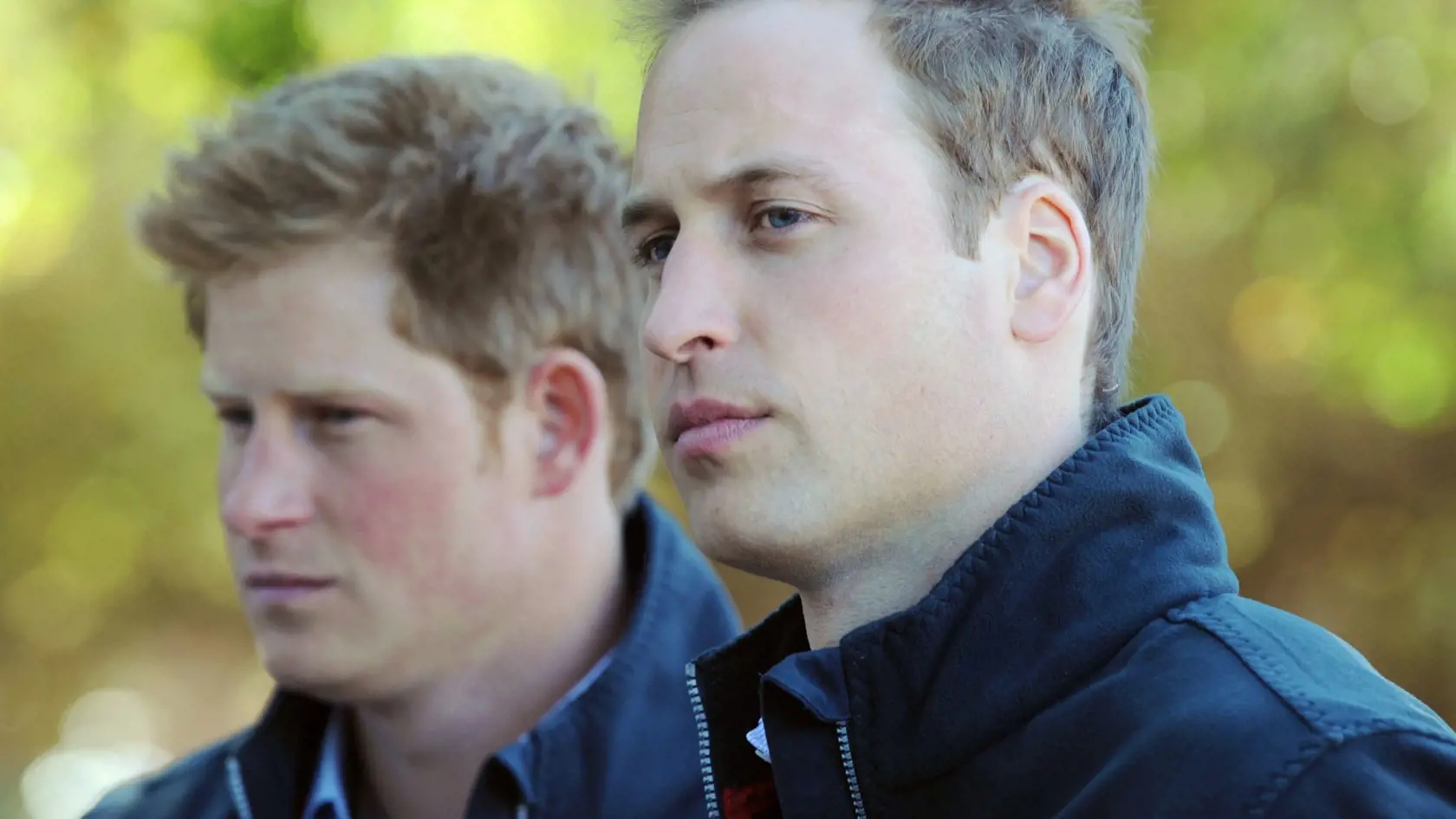 Princovia Harry a William