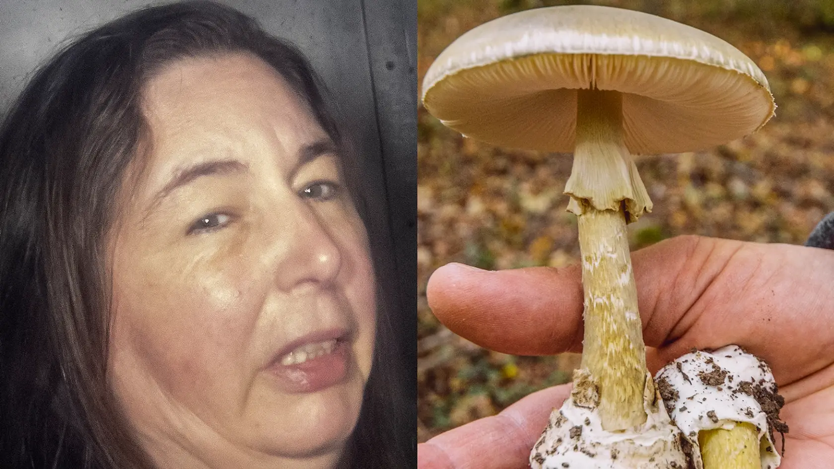 Erin Patterson podávala svojím hosťom jedovaté huby.