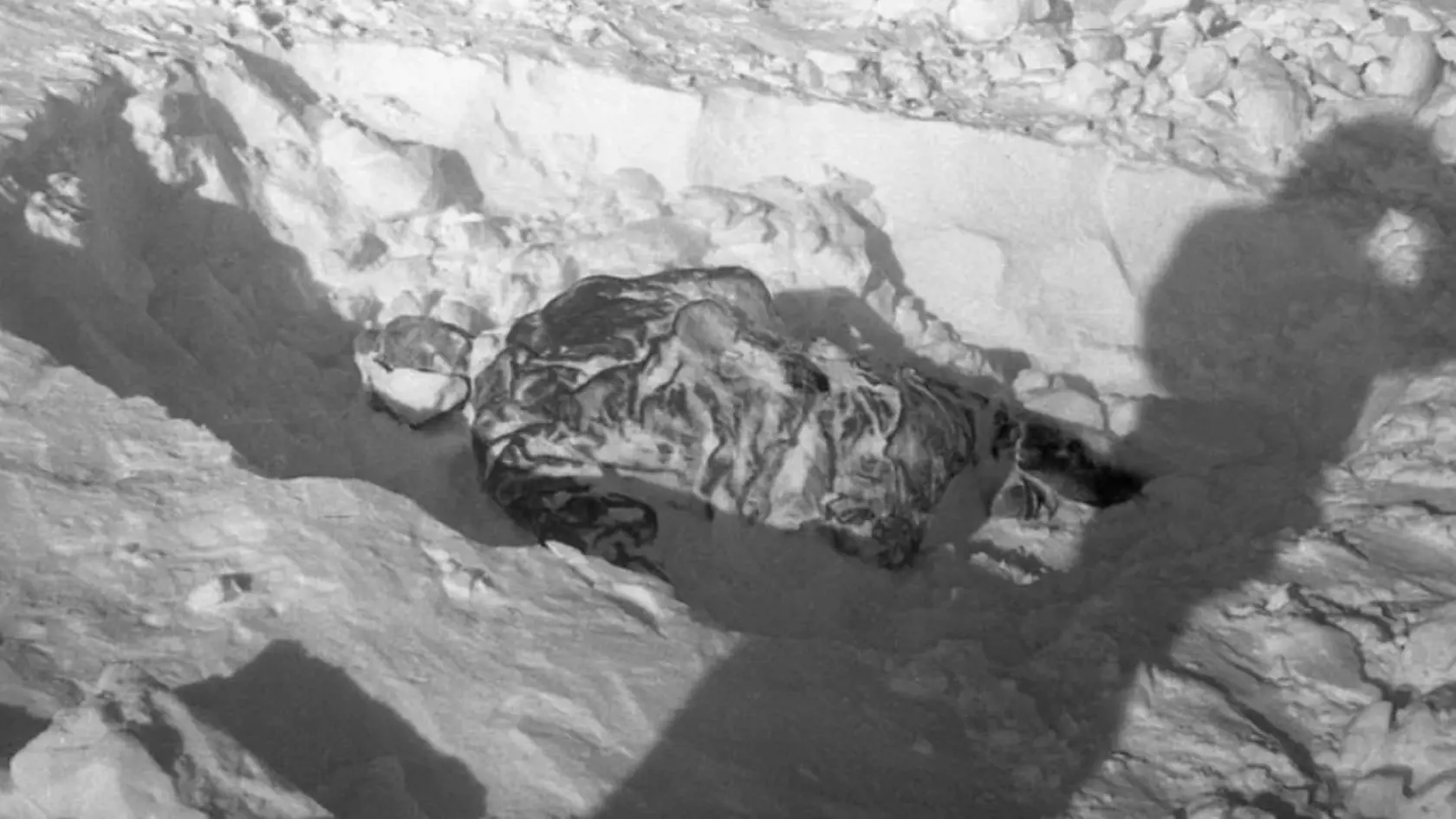 V noci z 1. na 2. februára 1959 zahynula za doteraz nejasných okolností v priesmyku na severnom Urale skupina turistov vedená študentom techniky Igorom Ďatlovom.