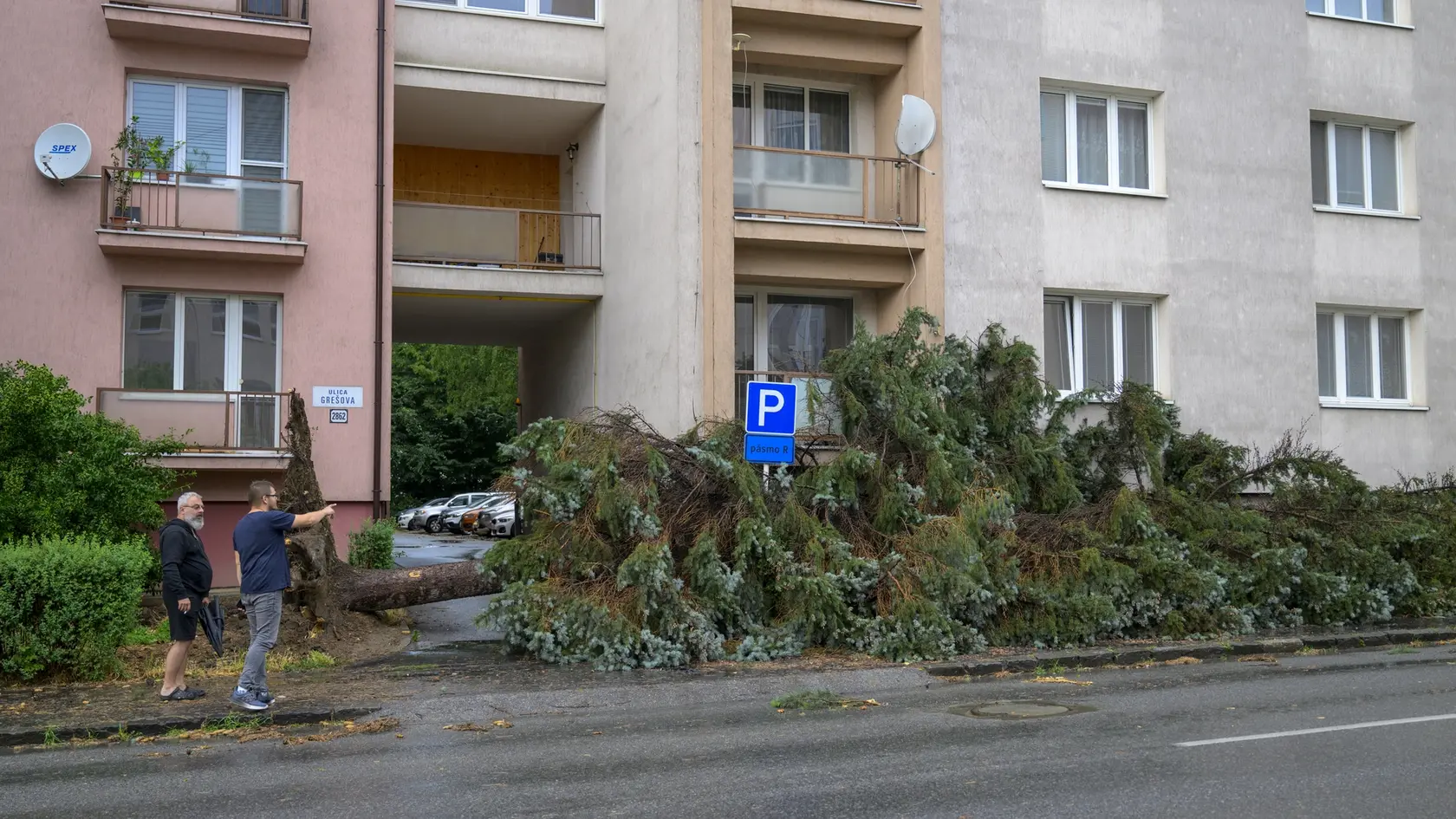 Na snímke spadnutý strom na Grešovej ulici po intenzívnych búrkach v Prešove 7. júla 2025. FOTO TASR - Veronika Mihaliková